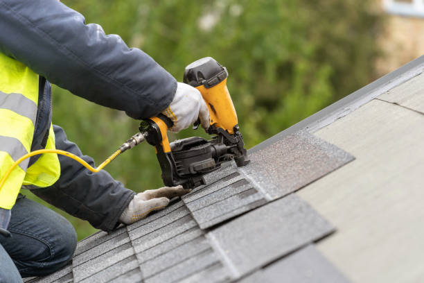 Best Asphalt Shingles Roofing  in Morrice, MI